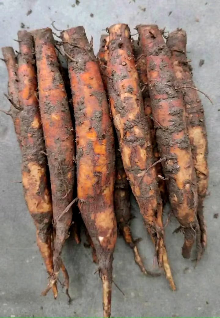 WhatsApp Image 2025-09-24 at 13.20.04_47ebe292