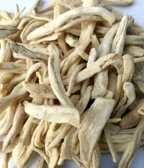 WhatsApp Image 2025-09-24 at 13.20.04_cda46afb